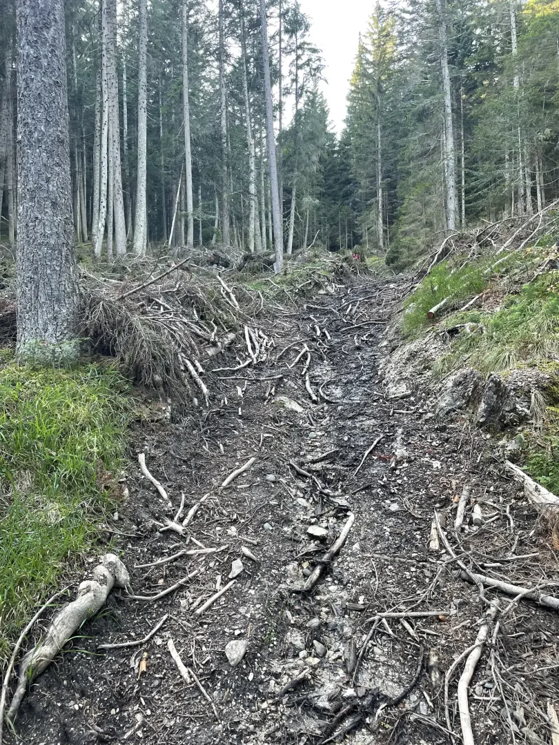 Wanderweg nach Unwetter