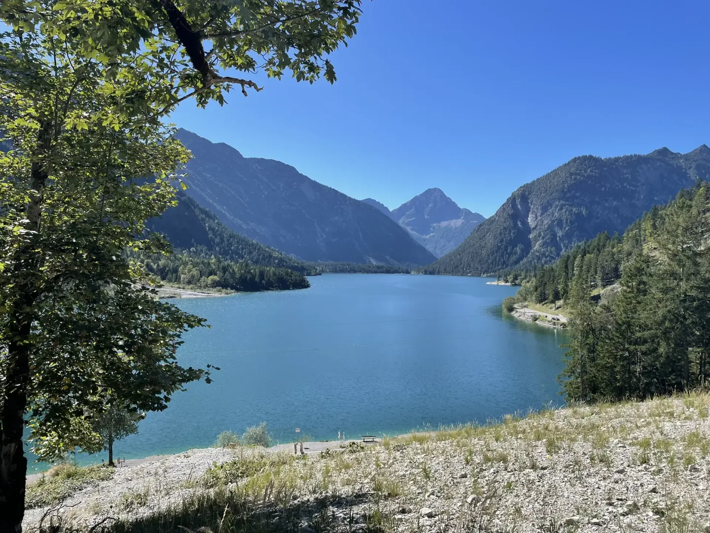 Blick auf den Plansee