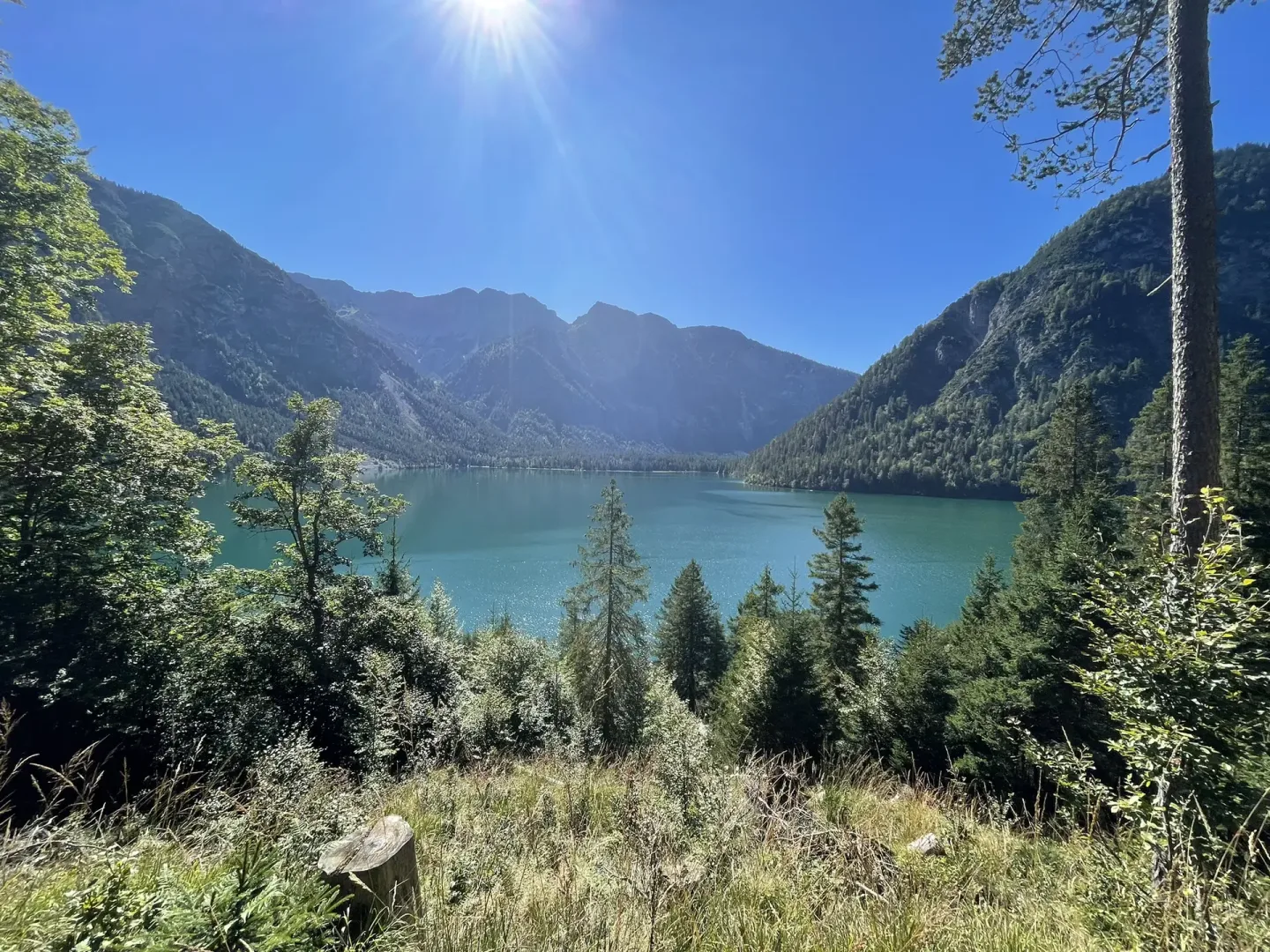 Blick auf den Plansee